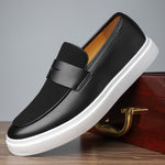 Elegant men's shoes