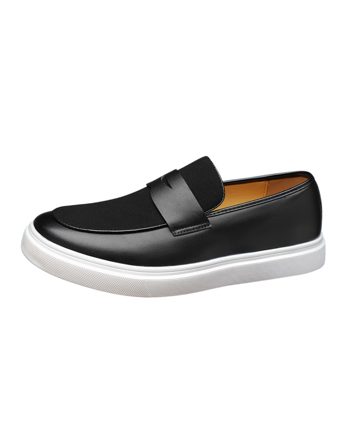 Elegant men's shoes