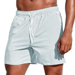 Casual Striped Swim Shorts