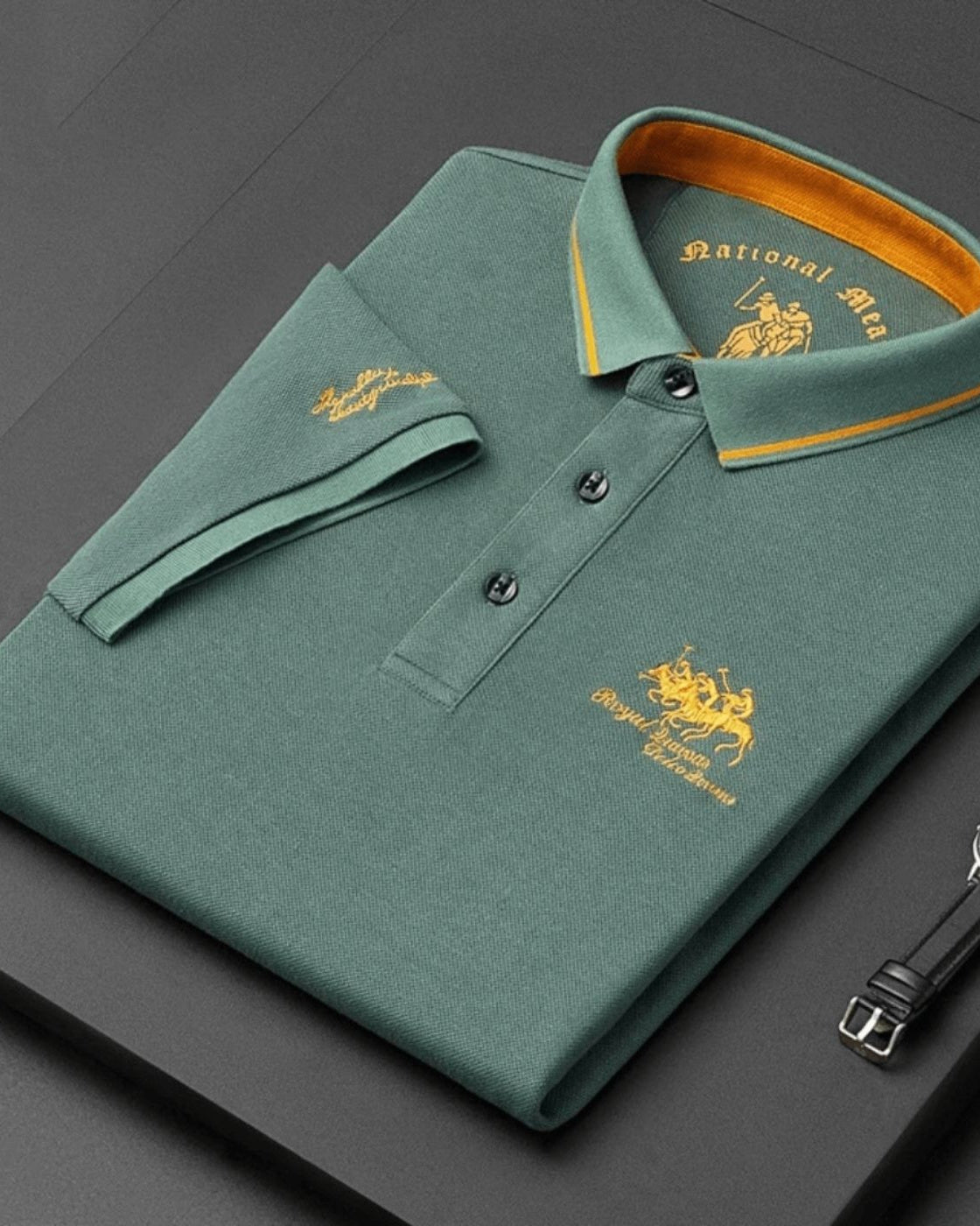 Ernesto Men's Polo Shirt in Green