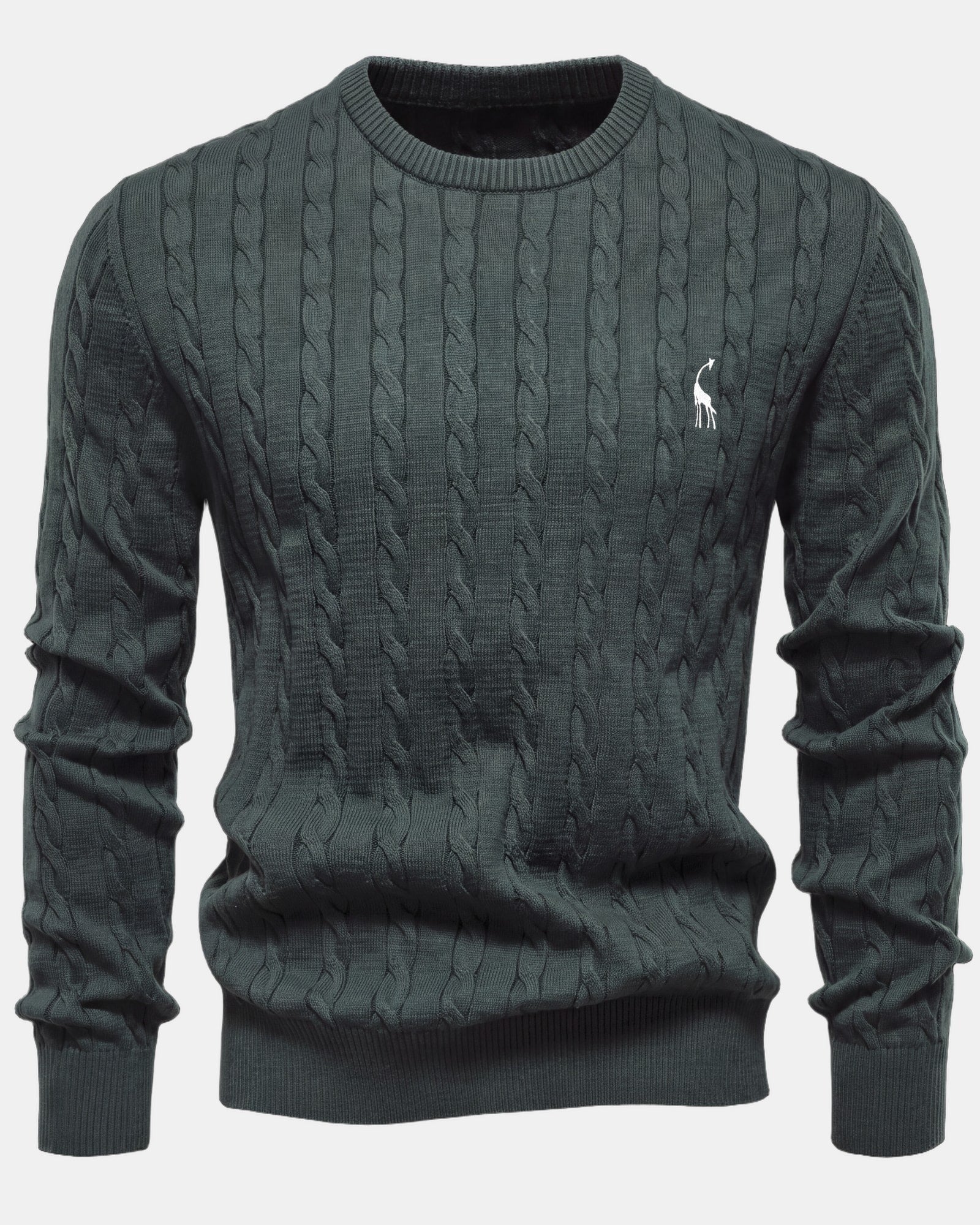 Falkner Men's Knit Sweater Green, photo studio