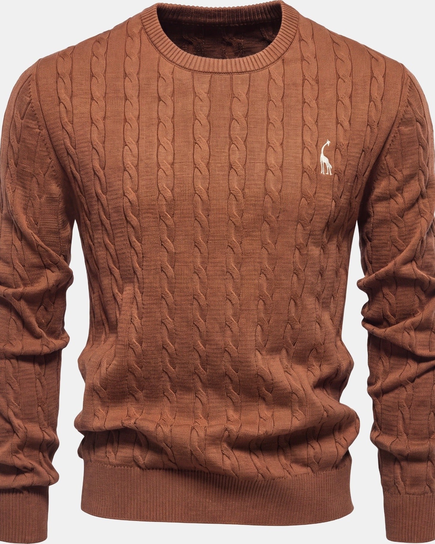 Falkner Men's Knit Sweater Brown, photo studio